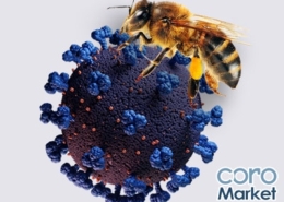 نقش نیش زنبور در پیشگیری و درمان کرونا
