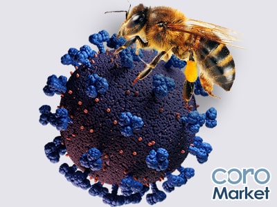نقش نیش زنبور در پیشگیری و درمان کرونا